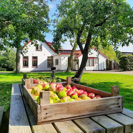 De Vrijheid-Plantage Apartment De Cocksdorp  Exterior photo