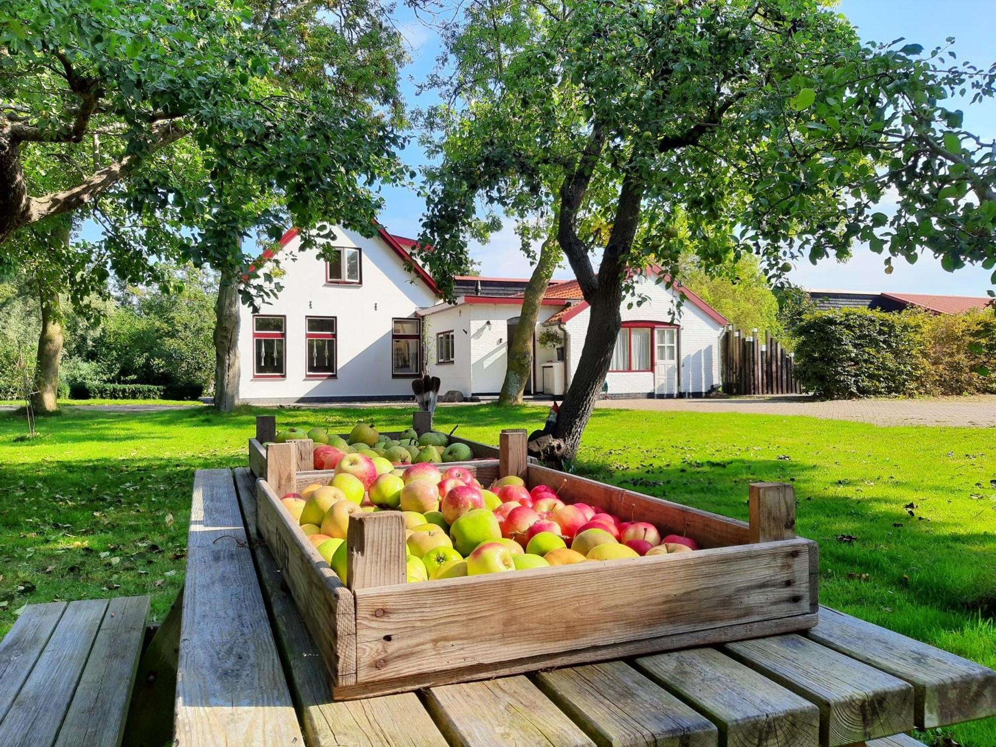 De Vrijheid-plantage Apartment De Cocksdorp (Texel)